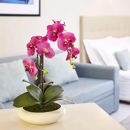 Luna Clube Oceano Apartmanhotel Albufeira